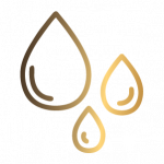 LANDING PAGE CAMPOS2_icon_04