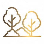 LANDING PAGE CAMPOS2_icon_05